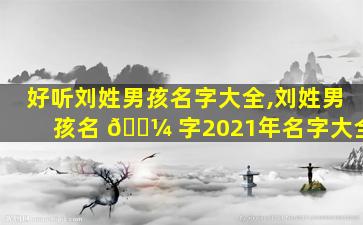 好听刘姓男孩名字大全,刘姓男孩名 🌼 字2021年名字大全